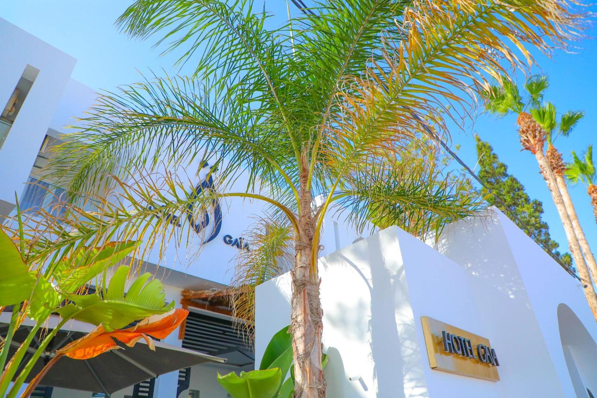 نزل قايا Hotel Gaia Nabeul Exteriér fotografie